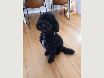 Image 1 of 4
