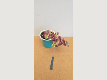 Image 1 of 20