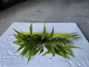 Image 1 of 14