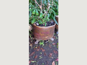 Image 1 of 20