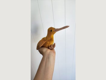 Image 1 of 5