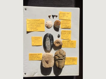 Image 1 of 7