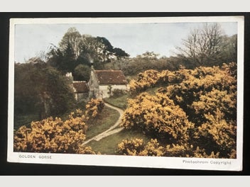 Image 1 of 1