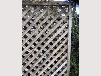 Image 1 of 7