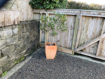 Image 1 of 1