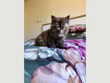 Image 1 of 20