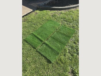 Image 1 of 7