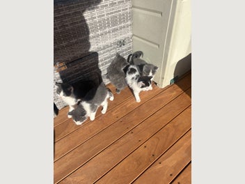 Image 1 of 10