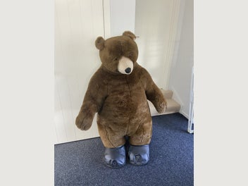 Image 1 of 1