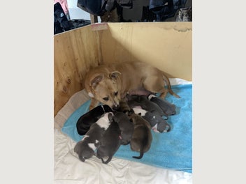 Image 1 of 10