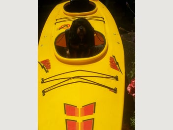 Image 1 of 16