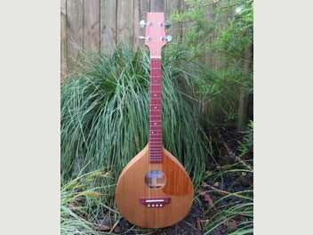 Image 1 of 7