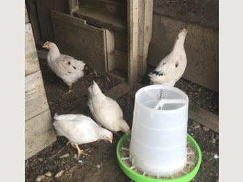 Image 1 of 6
