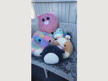 Image 1 of 8