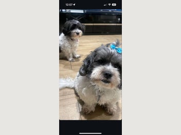 Image 1 of 19