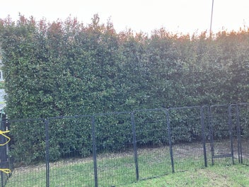 Image 1 of 7