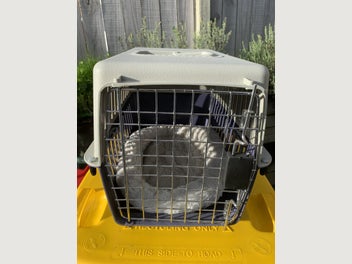 Image 1 of 7
