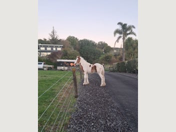 Image 1 of 15