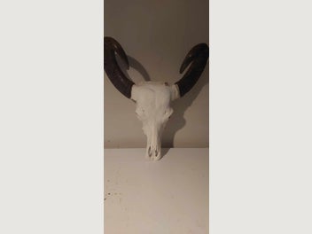 Image 1 of 9