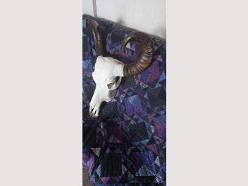 Image 1 of 9
