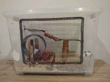Image 1 of 8
