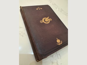 Image 1 of 7