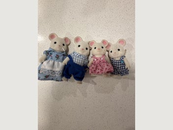 Image 1 of 5