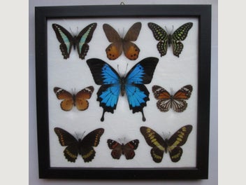 Image 1 of 8