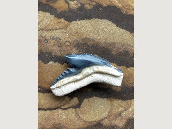 Image 1 of 3