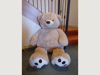Image 1 of 1