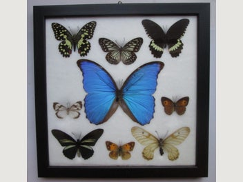 Image 1 of 8