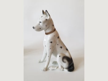 Image 1 of 11
