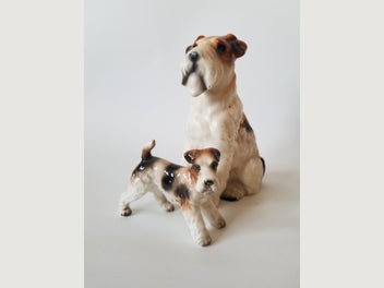 Image 1 of 20