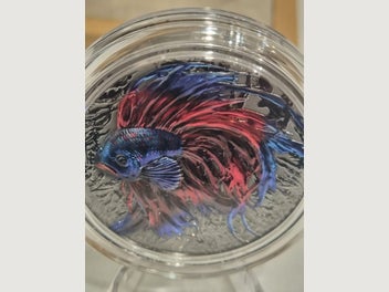 Image 1 of 11