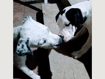 Image 1 of 6
