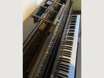 Image 1 of 7