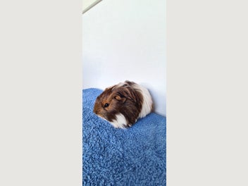 Image 1 of 11