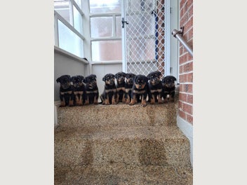 Image 1 of 8