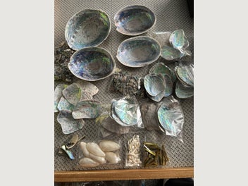 Image 1 of 10