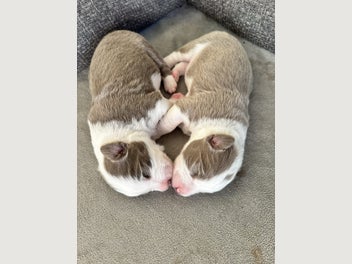 Image 1 of 7