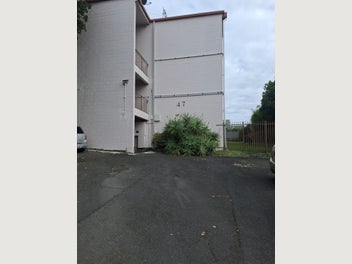Image 1 of 15