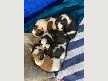 Image 1 of 8
