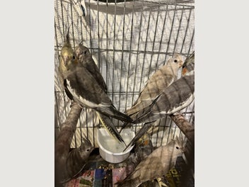 Image 1 of 3