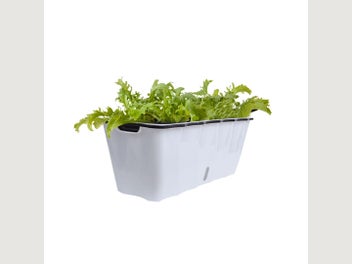 Image 1 of 15
