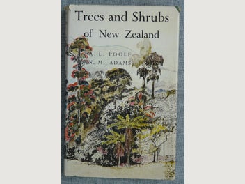 Image 1 of 13