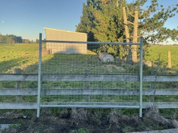 Image 1 of 1