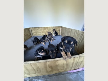 Image 1 of 17