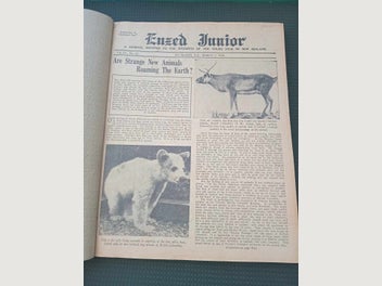 Image 1 of 20
