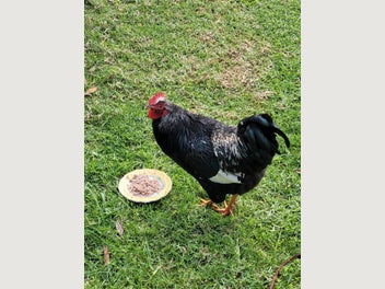Image 1 of 8