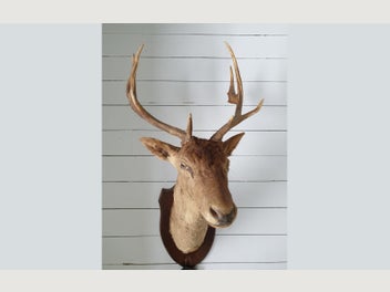 Image 1 of 7